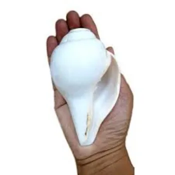 Shri Durga White Shankh