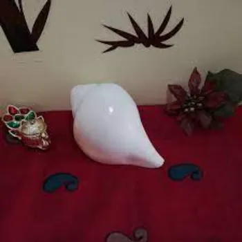 Good White Shankh