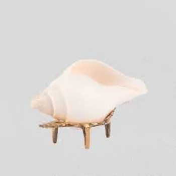 Agarwal White Shankh