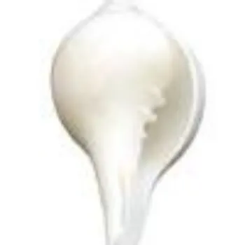 Pooja Craft & Embroidary White Shankh