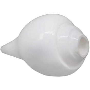 New White Shankh For Worship 