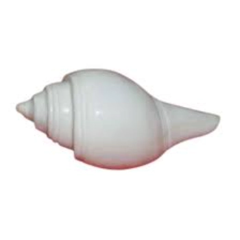 New Designed White Shankh