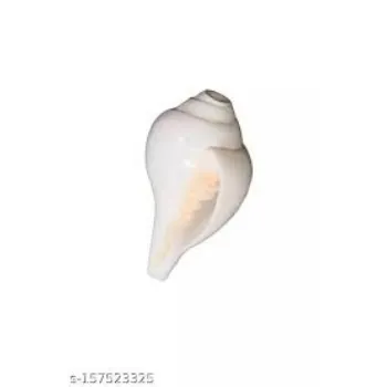 Sai Souriish Enterprises White Shankh