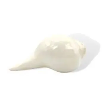 Solid White Shankh