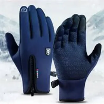 Fancy Winter Gloves