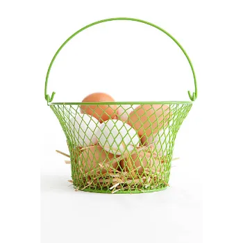 Designer Wire Basket