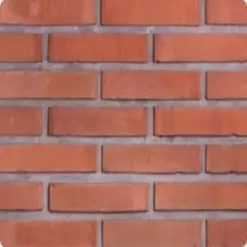 Wire cut Bricks for buildings