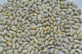 White Kidney Beans