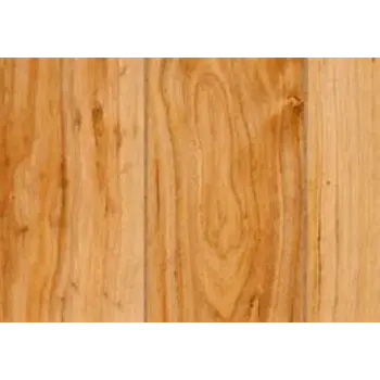 Plain Wood Laminates
