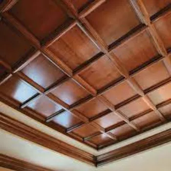 Lokpal Wooden Panel
