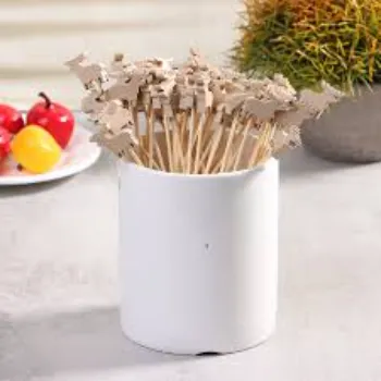 Wooden Toothpick