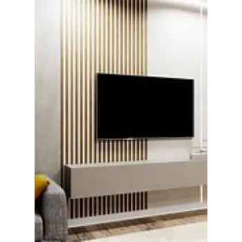 Modern Wooden Wall Panel