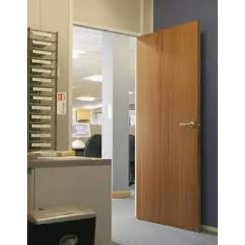 Plain WPC Door