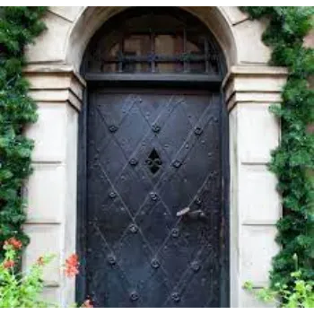 Modern Wrought Iron Door
