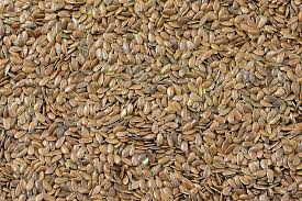 Wheat Seeds