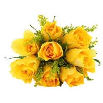 Organic Yellow Rose 