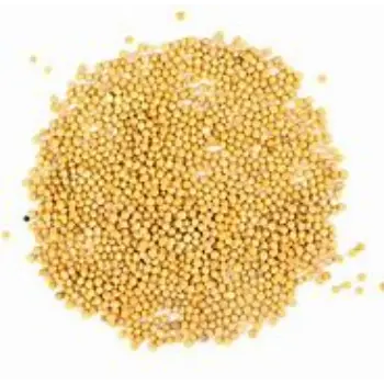 Natural Yellow Mustard Seed