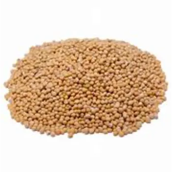 Natural Yellow Mustard Seed