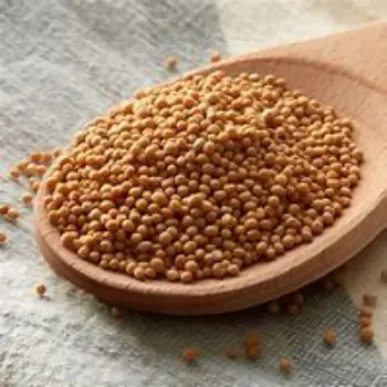 Yellow Mustard Seed