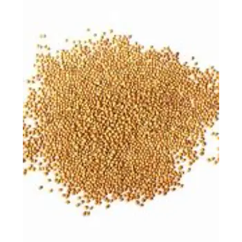 Natural Yellow Mustard Seed