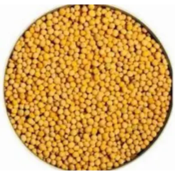 Yellow Mustard Seed
