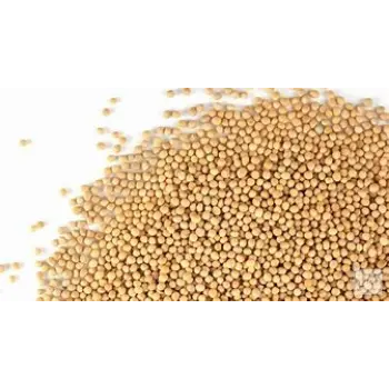 Organic Yellow Mustard Seed