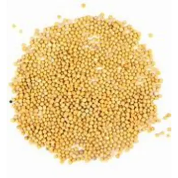 Yellow Mustard Seed