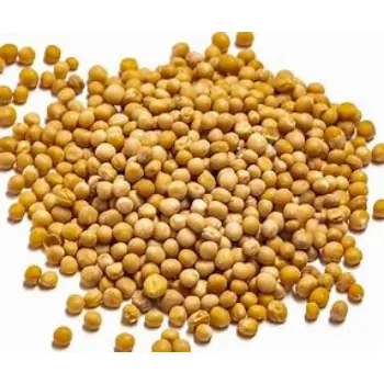 Yellow Mustard Seed