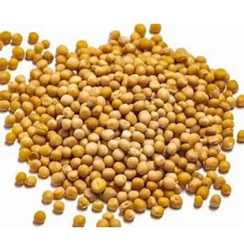  Natural Yellow Mustard Seed