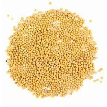 Yellow Mustard Seed