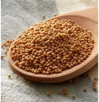 Natural Yellow Mustard Seed