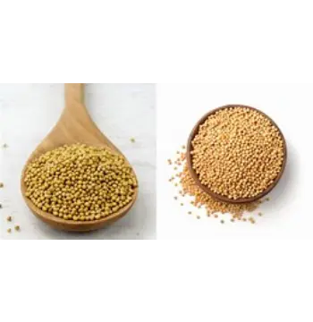 Fresh Yellow Mustard Seed