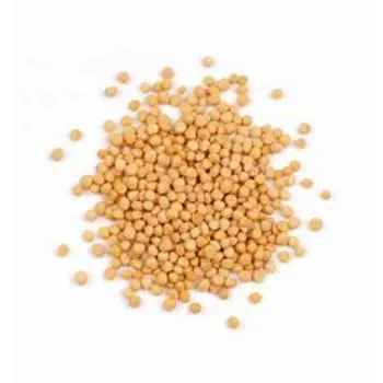 Yellow Mustard Seed