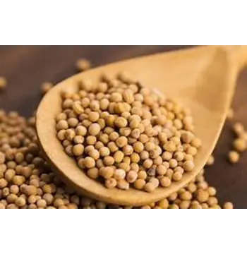 Fresh Yellow Mustard Seed