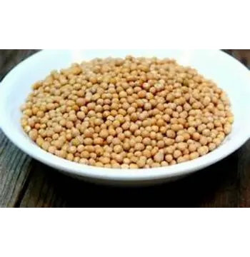 Fresh Yellow Mustard Seed