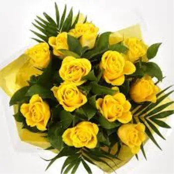 Rare  Yellow Rose