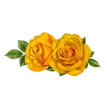 Yellow Rose