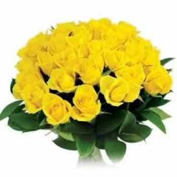 Fresh Yellow Rose