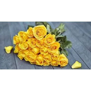 Yellow Rose