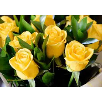 Fresh Yellow Rose